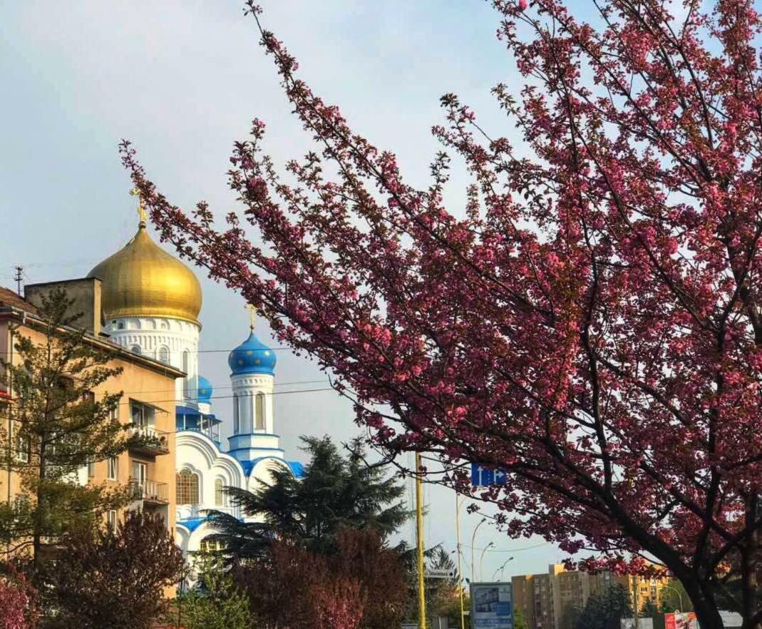 Сучасна Квартира В Центрі Міста Uzhhorod Ngoại thất bức ảnh