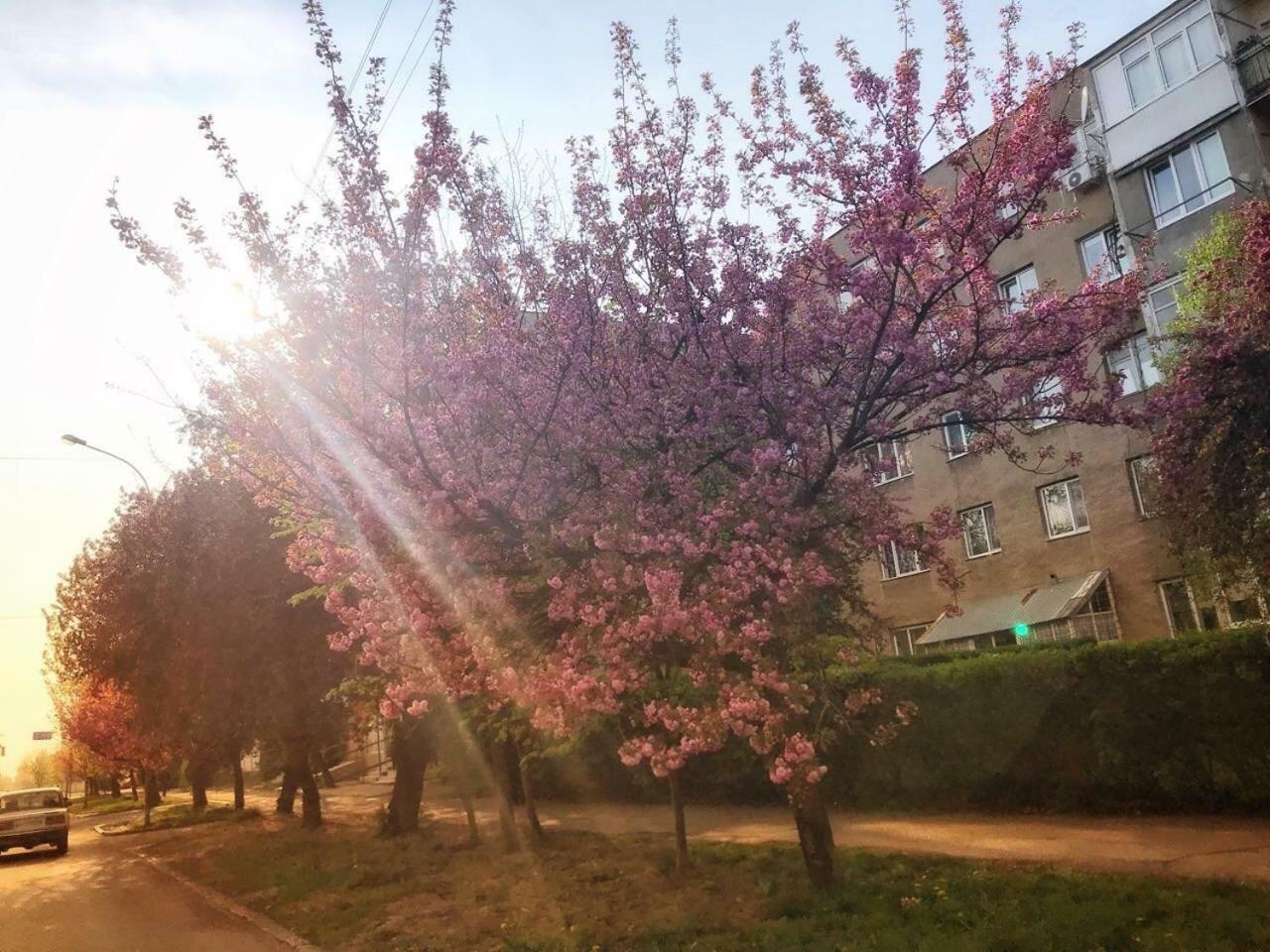 Сучасна Квартира В Центрі Міста Uzhhorod Ngoại thất bức ảnh
