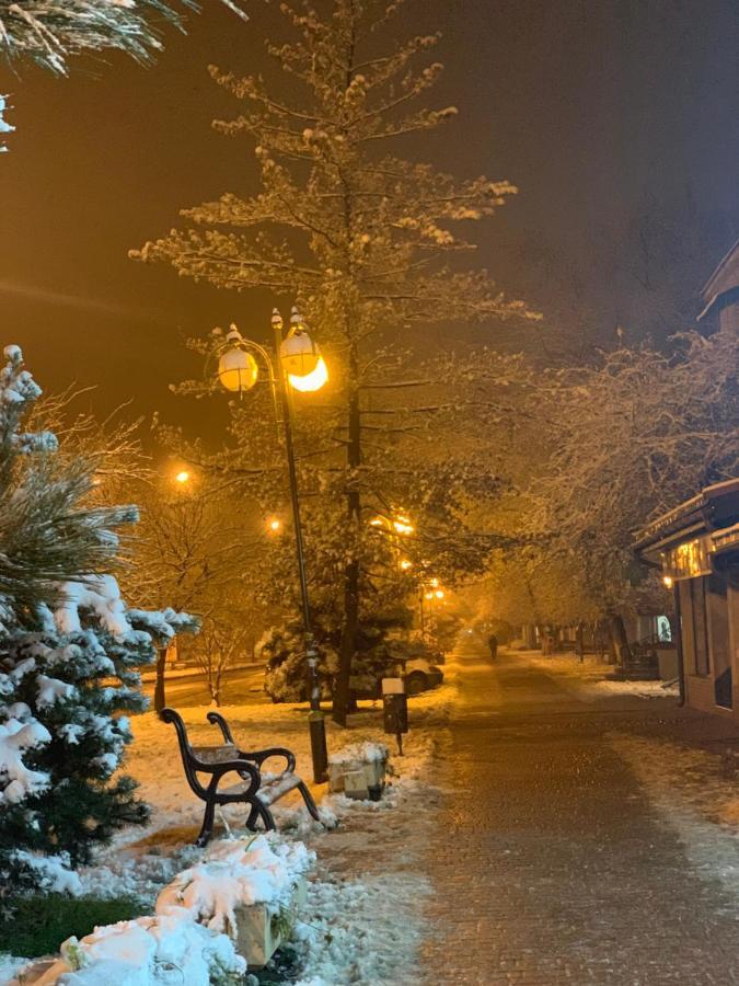 Сучасна Квартира В Центрі Міста Uzhhorod Ngoại thất bức ảnh